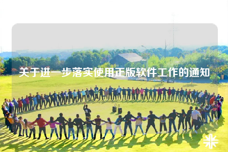 關(guān)于進(jìn)一步落實(shí)使用正版軟件工作的通知